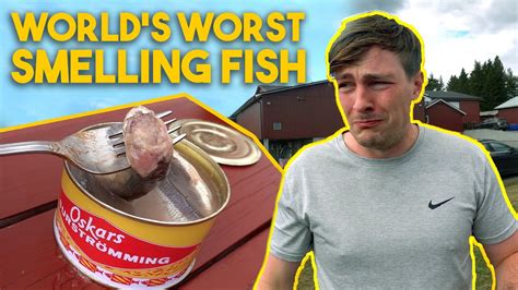 Surströmming: The Worlds Smelliest Food